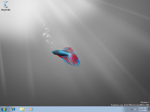 Windows7-6.1.7062-Starter-Desktop.png