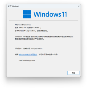 Windows11-10.0.26085.1-Winver.png