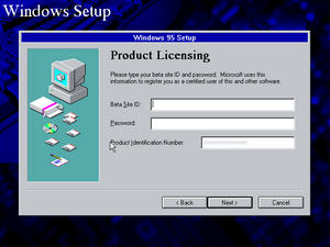 Win95Build216 Setup6.png