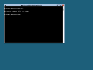 8250Server zhCN-ServerCore.png