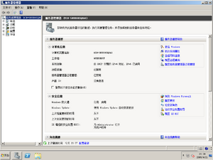 7100Server zhCN-ServerManager.png