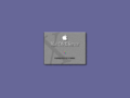 Mac OS X Server 1.x