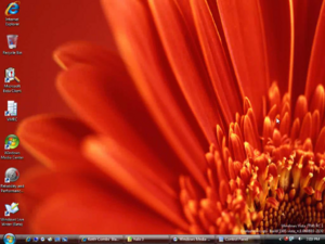 WindowsVista-5505-060803-Desktop.png