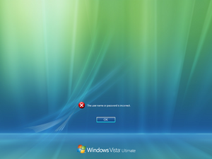 WindowsVista-6.0.5552-InvalidPassword.png
