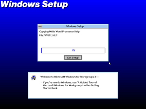 WindowsForWorkgroups-3.1.102-Setup.png