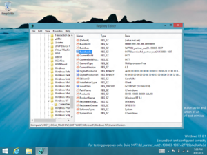 WindowsRT8.1-6.3.9477.0.FBL PARTNER OUT21-Reg.png