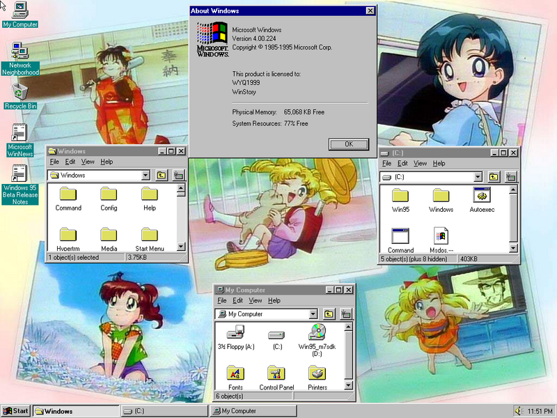 文件:Windows95-4.0.224-Demo.png