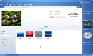 Longhorn4002lab06n cleanexplorer.png