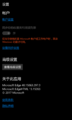 Microsoft Edge 设置