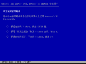 WindowsServer2003-5.2.3718-Textsetup-zh-cn.png