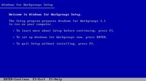 Windows 95 build 07200022 initialestup.png