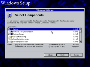 Win95Build216 Setup9.png