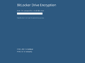 输入 BitLocker 密码