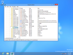 WinRT 8888NV Registry.png