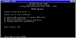 Windows95-4.0.99-FDISK.png