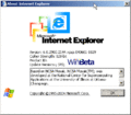 关于 Internet Explorer