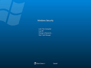 WindowsVista-6.0.5098.0-UXUnleakedImg4.jpg