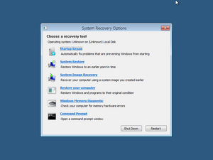 8045-SystemRecoveryOptions.png