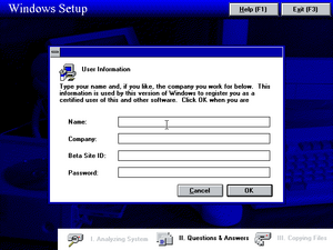 Win95-73g-UserInformation.png