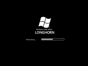 WindowsLonghorn5259Hibernate.png