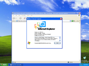 5000 040803 ieabout.png