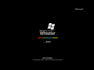 WindowsXP-5.1.2442-Preparing.png
