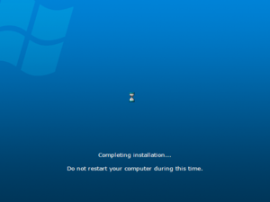 Vista 6.0.5098 Completing.png