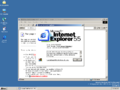 关于 Internet Explorer