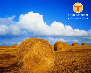LonghornAlpha.png