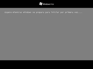 WindowsVista-6.0.5600-Spanish-Setup3.png