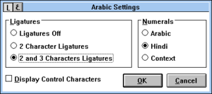 Win31B018A ArabicSettings.png