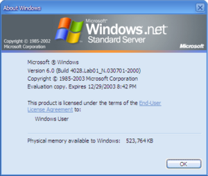 Server2008 4028Winver.png