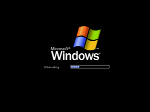 WindowsXP-5.1.2600.5512sp3-Hibernate.png