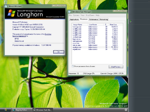 WindowsLonghorn-6.0.4082-DWM.png