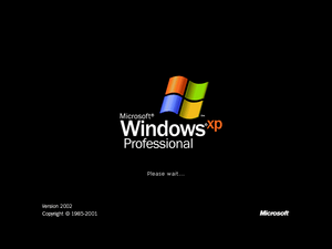 WindowsXP-5.1.2481-OOBELoad.png