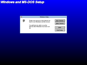 MSDOS50-Windows31-RunTutorial.png