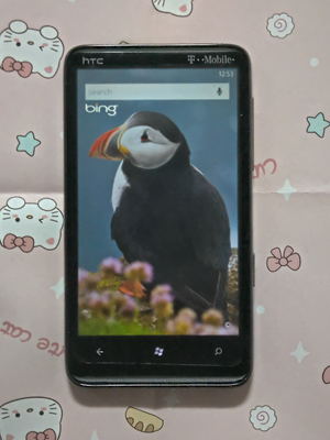 Windows Phone 7 6531 Search.png