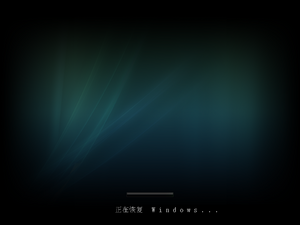 Vista Hibernate Resume.png