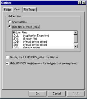 Windows95-RTM-FolderOptions.png
