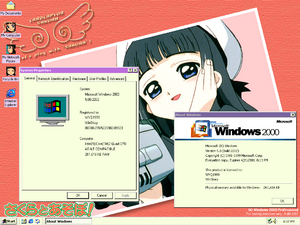 WindowsXP-5.0.2202-Demo.png