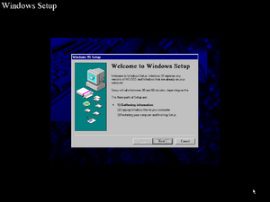 Windows95-4.00.314-Setup2.png