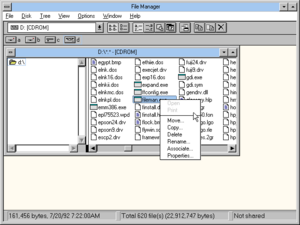 Windows95-20July1992-Fileman.png