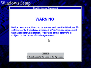 Win95Build216 Setup2.png