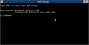 Win3.10.026 27 dos prompt window.png